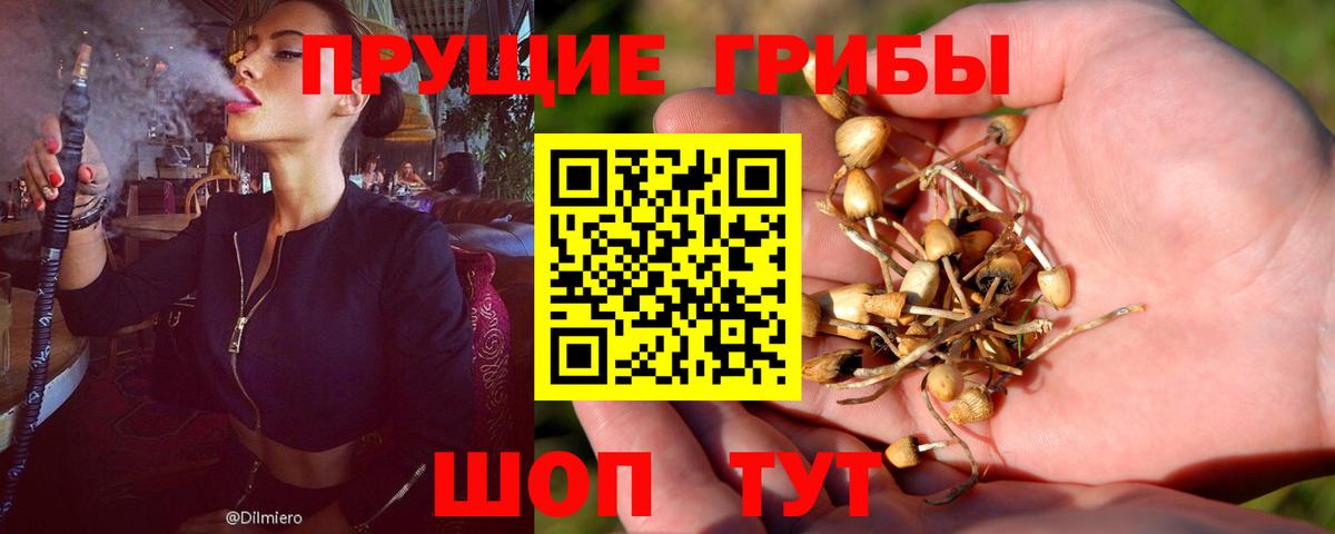 Северобайкальск  Псилоцибиновые грибы Magic Shrooms  что такое   Вход с VPN 